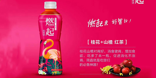 臨邦新案：燃燒吧，小宇宙！